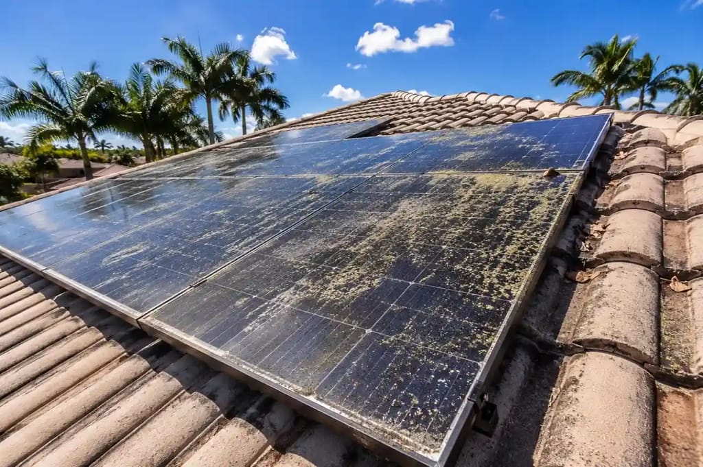 Dirty solar panels with salt residue and algae on Miami FL roof