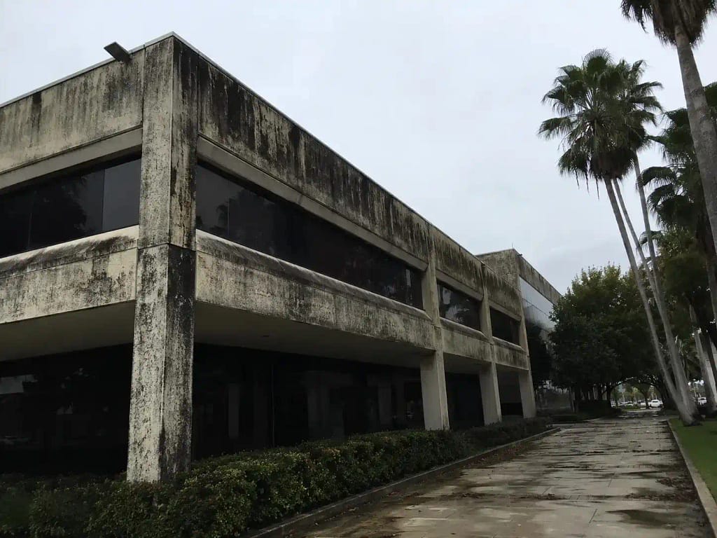 Mold and algae growth on commercial building exterior in Miami FL