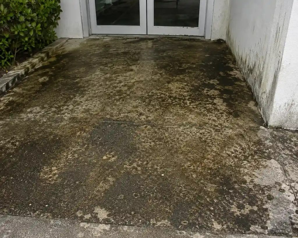 The Hidden Costs of Ignoring Commercial Cleaning Services in Miami 2 Algae stained and deteriorating commercial walkway entrance in Miami FL